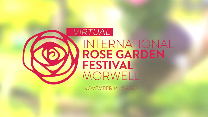 International Rose Festival