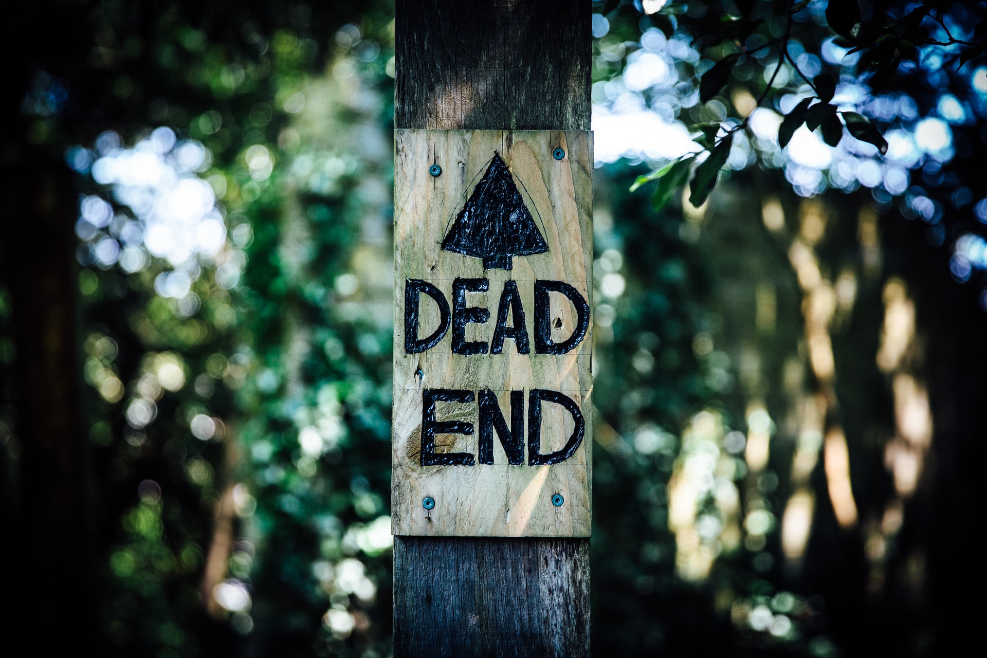 A wood plank with "Dead End" engraved on it